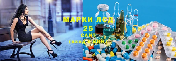 прущие грибы Рославль