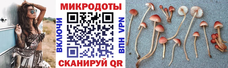 KRAKEN сайт  Называевск  Псилоцибиновые грибы мухоморы 